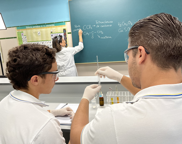 Preparación profesional